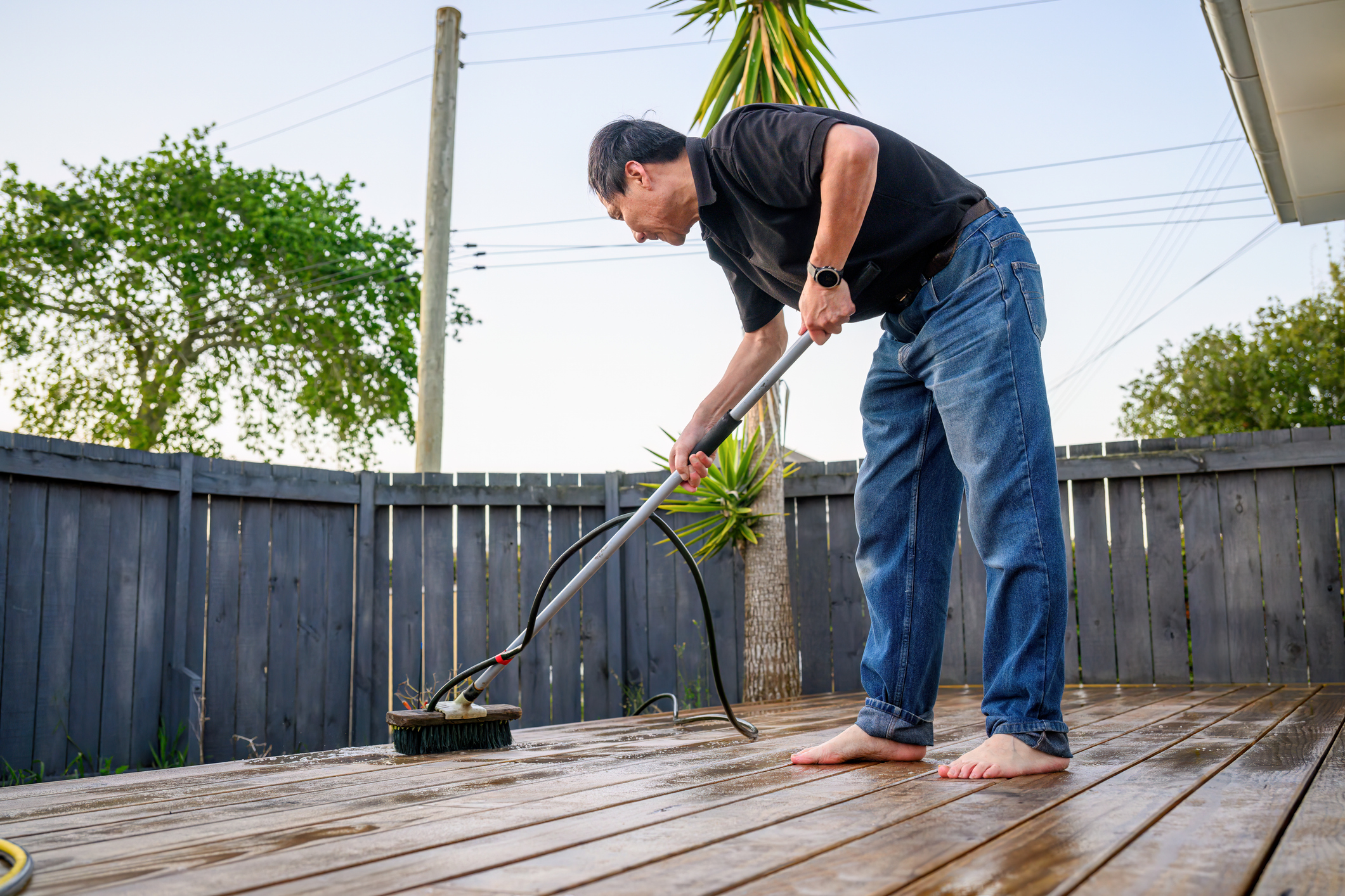 Deck and Fence
